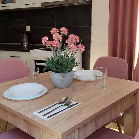 Network يايتشه